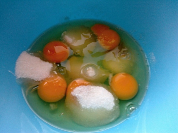 České rezy (fotorecept) - obrázok 5