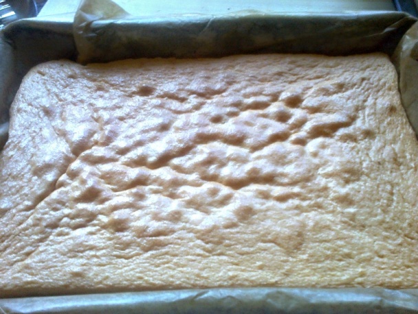 České rezy (fotorecept) - obrázok 7