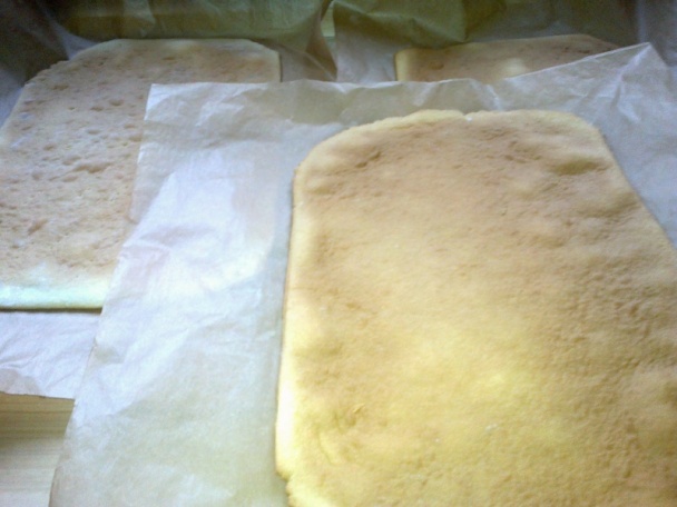 Toplianske medové rezy (fotorecept) - obrázok 6