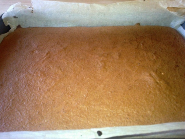 Tvarohovo-broskyňový tunel (fotorecept) - obrázok 6