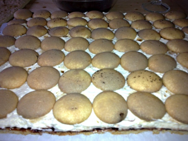 Medové rezy s piškótami (fotorecept) - obrázok 13