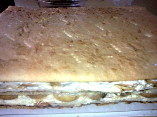 Medové rezy s piškótami (fotorecept) - obrázok 14