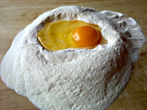 Tľapkance (fotorecept) - obrázok 1