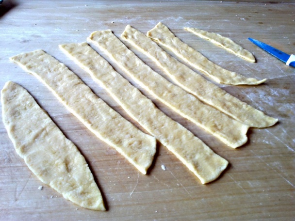 Tľapkance (fotorecept) - obrázok 5