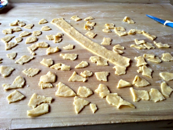 Tľapkance (fotorecept) - obrázok 6