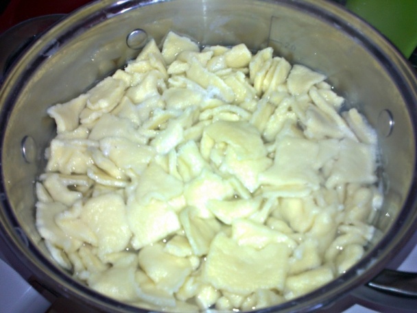 Tľapkance (fotorecept) - obrázok 8