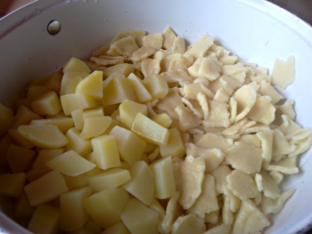 Tľapkance (fotorecept) - obrázok 10