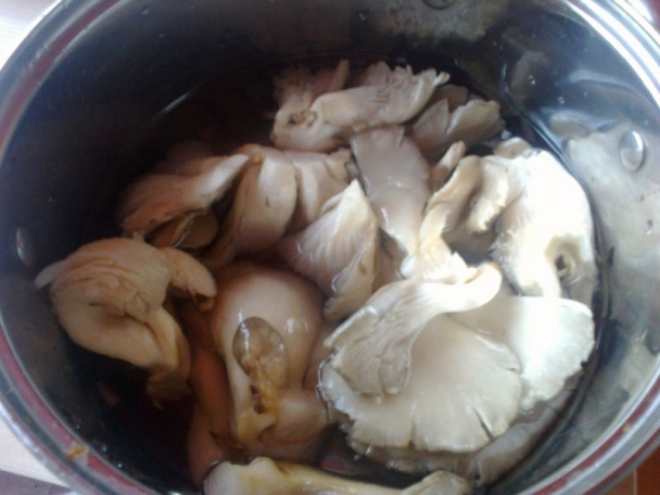 Hliva na spôsob viedenského rezňa (fotorecept) - obrázok 2