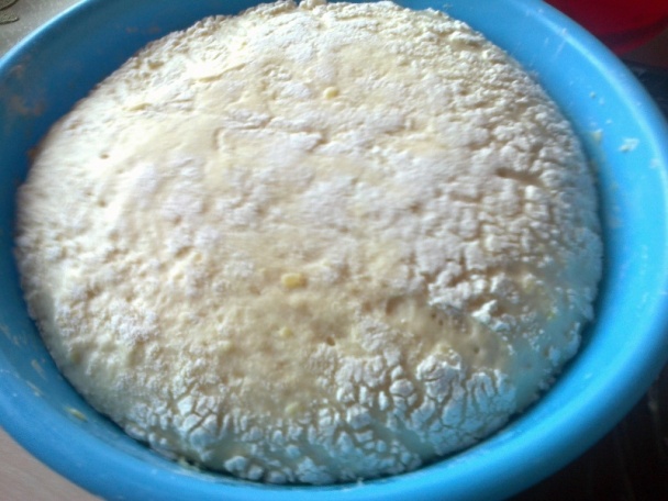 Liptovský bryndzovník so zázvorom (fotorecept) - obrázok 1