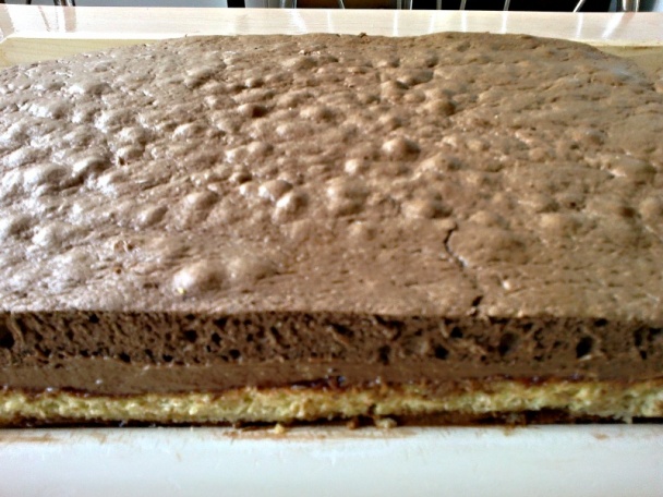 Kakaovo-orechové rezy s čokoládou a fernetom (fotorecept) - obrázok 16