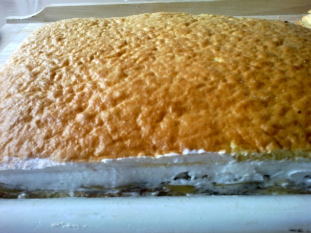 Broskyňový sen (fotorecept) - obrázok 11