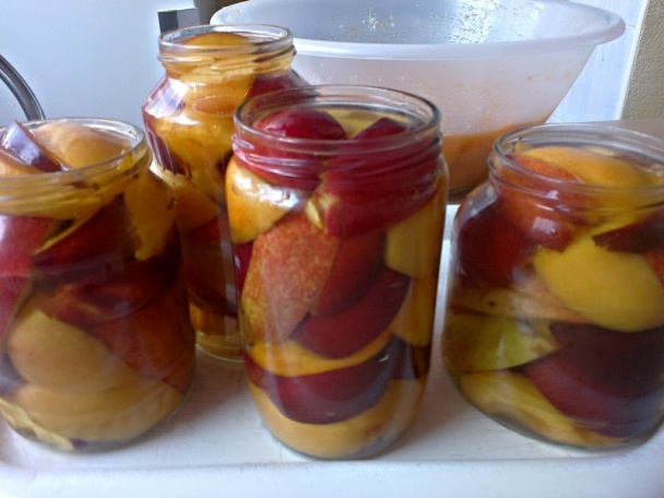 Marhuľovo-nektárinkový kompót s hruškami (fotorecept) - obrázok 3