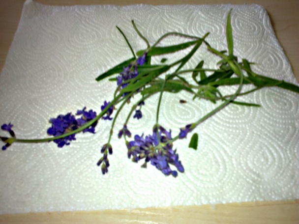 Levanduľový marhuľový lekvár (fotorecept) - obrázok 5