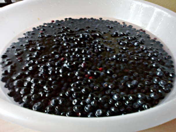 Čučoriedky zasýpané cukrom s vajcovým koňakom (fotorecept) - obrázok 1