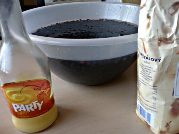 Čučoriedky zasýpané cukrom s vajcovým koňakom (fotorecept) - obrázok 2