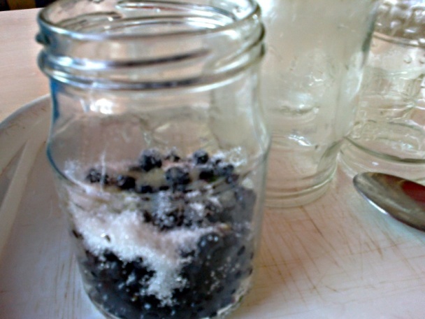 Čučoriedky zasýpané cukrom s vajcovým koňakom (fotorecept) - obrázok 3