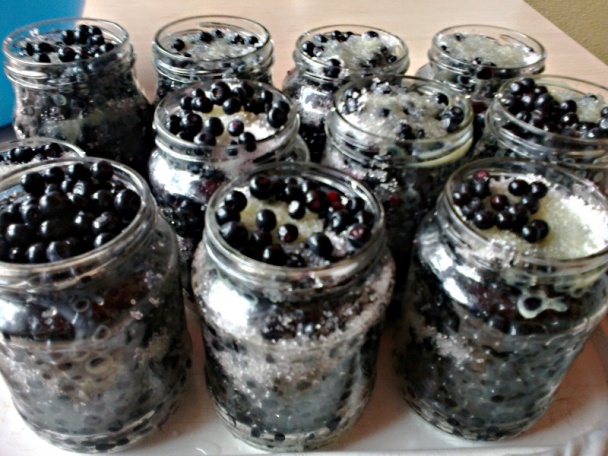 Čučoriedky zasýpané cukrom s vajcovým koňakom (fotorecept) - obrázok 4