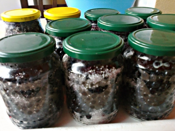 Čučoriedky zasýpané cukrom s vajcovým koňakom (fotorecept) - obrázok 5