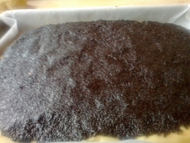 Makovo-tvarohové žerbó rezy (fotorecept) - obrázok 7