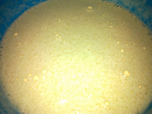 Rezy z lesného ovocia (fotorecept) - obrázok 1