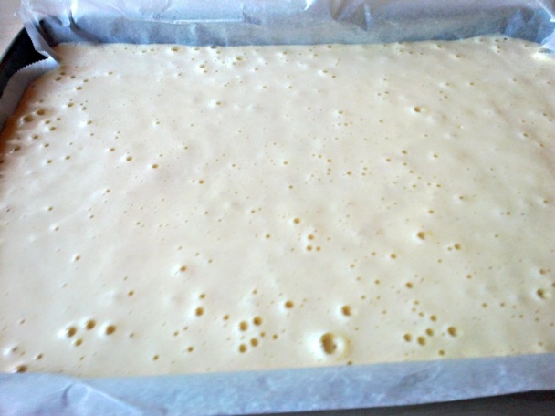 Rezy z lesného ovocia (fotorecept) - obrázok 3