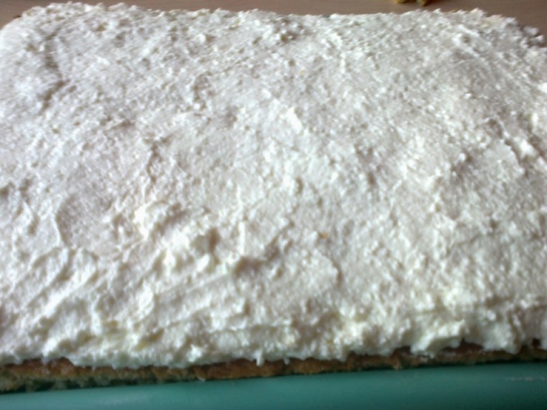 Rezy z lesného ovocia (fotorecept) - obrázok 5