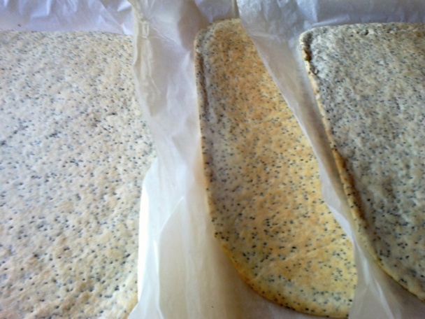 Medovo-makové krémové rezy (fotorecept) - obrázok 6