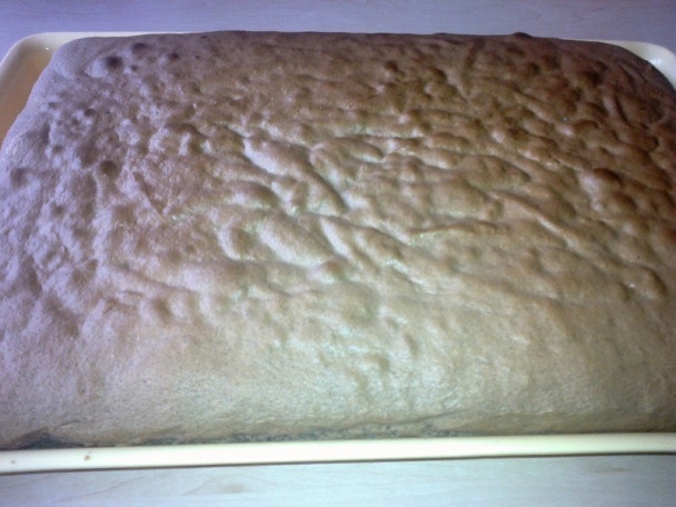 Margot rezy (fotorecept) - obrázok 4