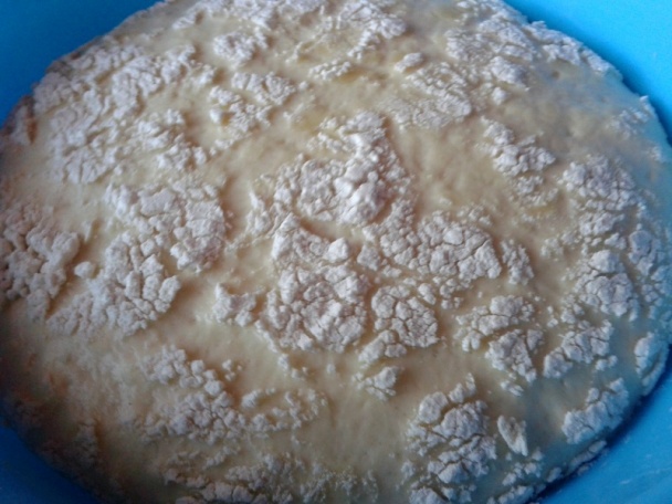 Opekancové rezy (fotorecept) - obrázok 2