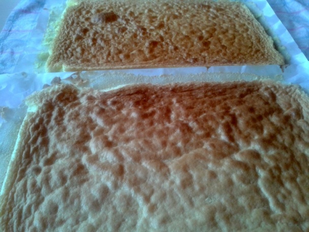 Opekancové rezy (fotorecept) - obrázok 9