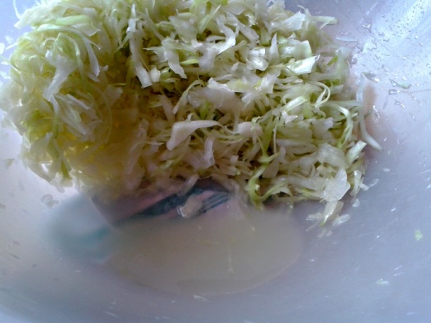 Zapečené kapustové šúľance (fotorecept) - obrázok 4