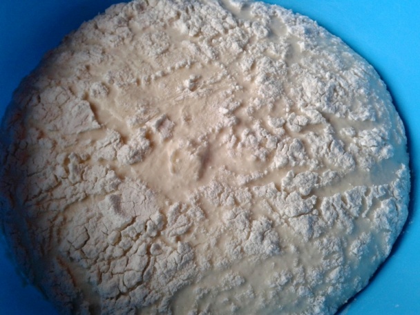 Domáce pletenky plnené mletým mäsom (fotorecept) - obrázok 2