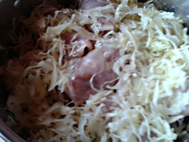 Poľovnícka sarma (fotorecept) - obrázok 11