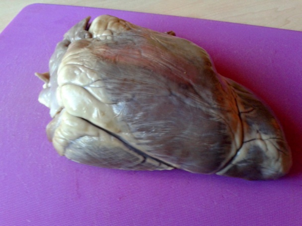 Plnené diviačie srdce na červenom víne (fotorecept) - obrázok 2