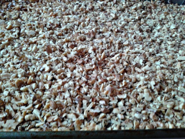 Parlament rezy (fotorecept) - obrázok 1