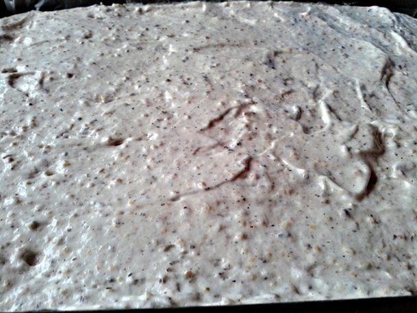 Parlament rezy (fotorecept) - obrázok 4