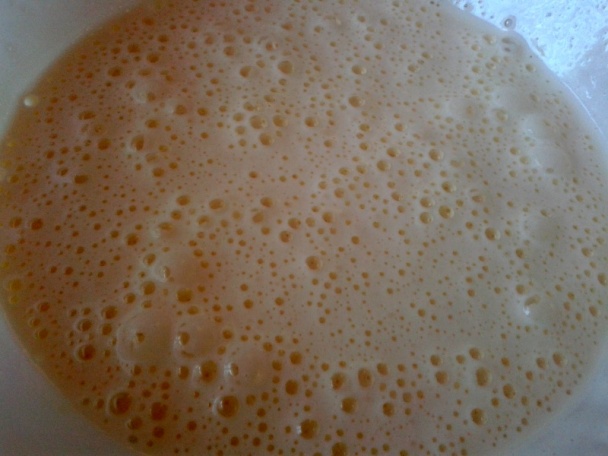 Florida rezy (fotorecept) - obrázok 1