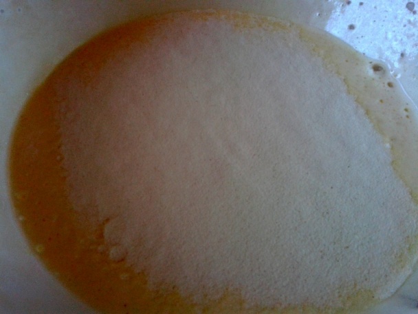 Florida rezy (fotorecept) - obrázok 2