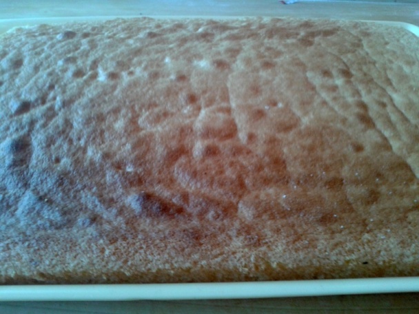 Florida rezy (fotorecept) - obrázok 3