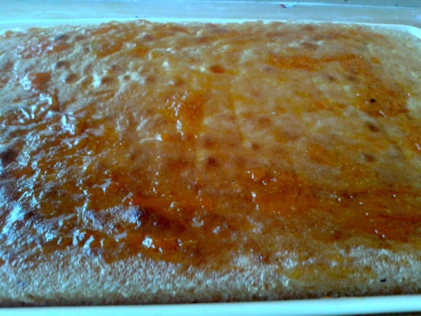 Florida rezy (fotorecept) - obrázok 4