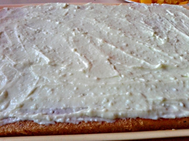 Florida rezy (fotorecept) - obrázok 8