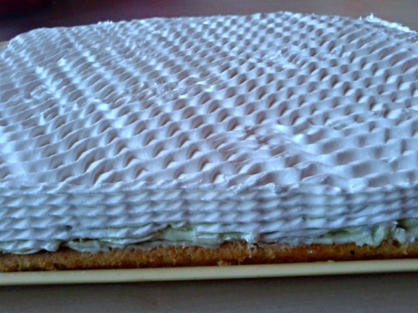 Florida rezy (fotorecept) - obrázok 9