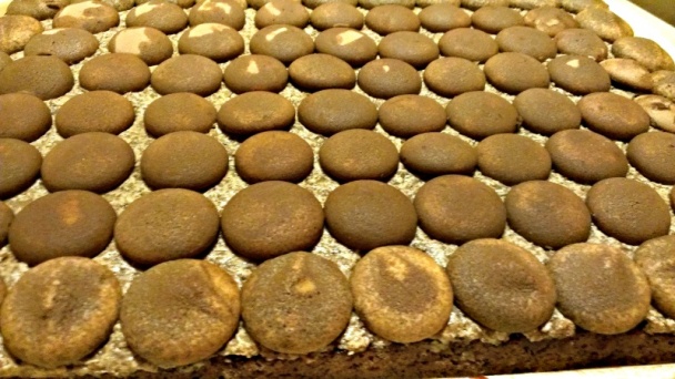 Kávové rezy s orechmi (fotorecept) - obrázok 5