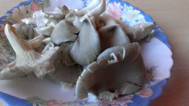 Hovädzí plátok na slanine s hlivou (fotorecept) - obrázok 5