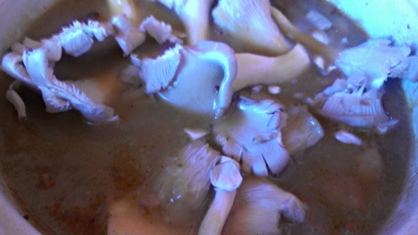 Hovädzí plátok na slanine s hlivou (fotorecept) - obrázok 6