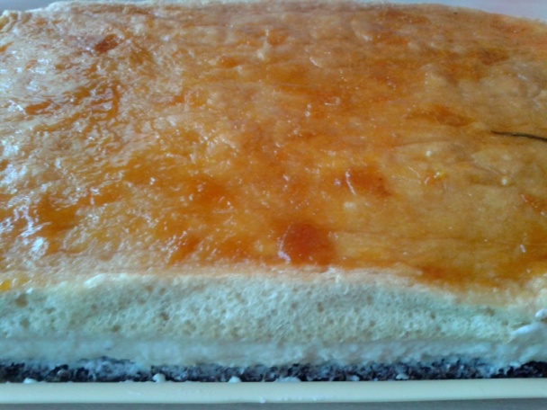 Havana rezy (fotorecept) - obrázok 11