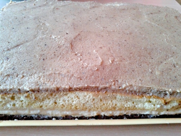 Havana rezy (fotorecept) - obrázok 12