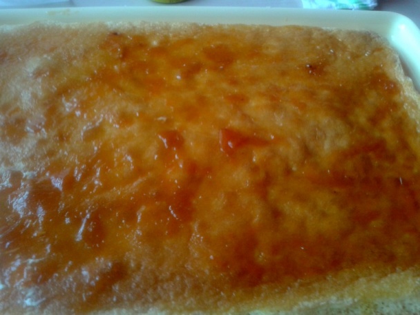 Sunquickové rezy podľa Izky (fotorecept) - obrázok 9