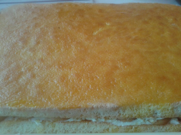 Sunquickové rezy podľa Izky (fotorecept) - obrázok 12