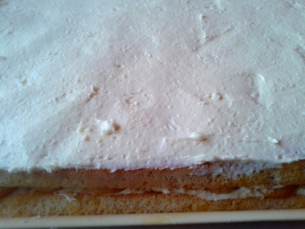 Sunquickové rezy podľa Izky (fotorecept) - obrázok 14